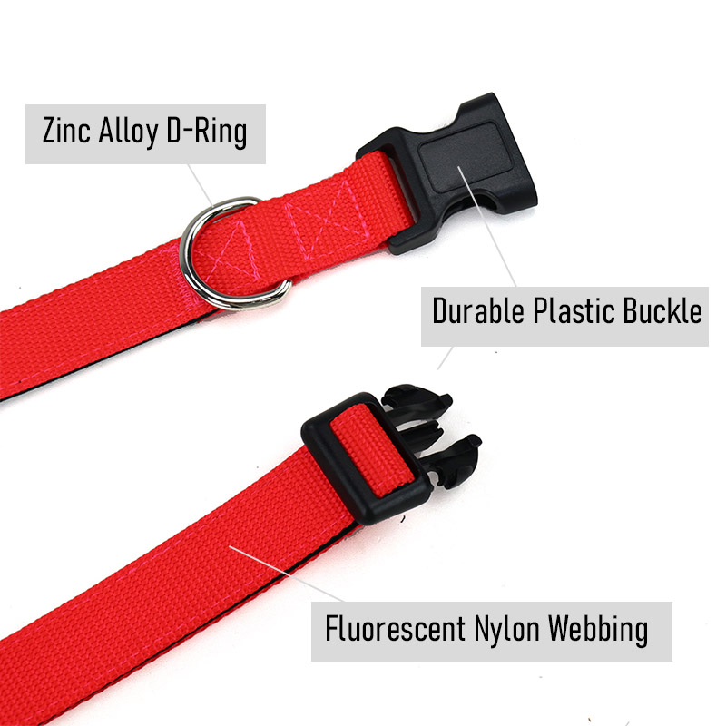 fluorescence collar for dogs