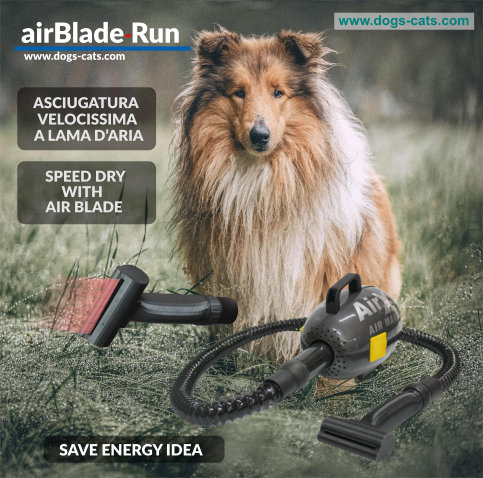 airblade dog blower