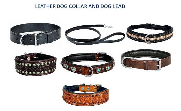 Dog Collar ,Dog Leads,