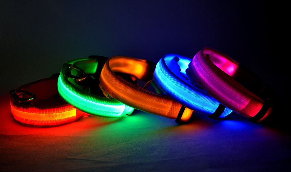 LED light collar