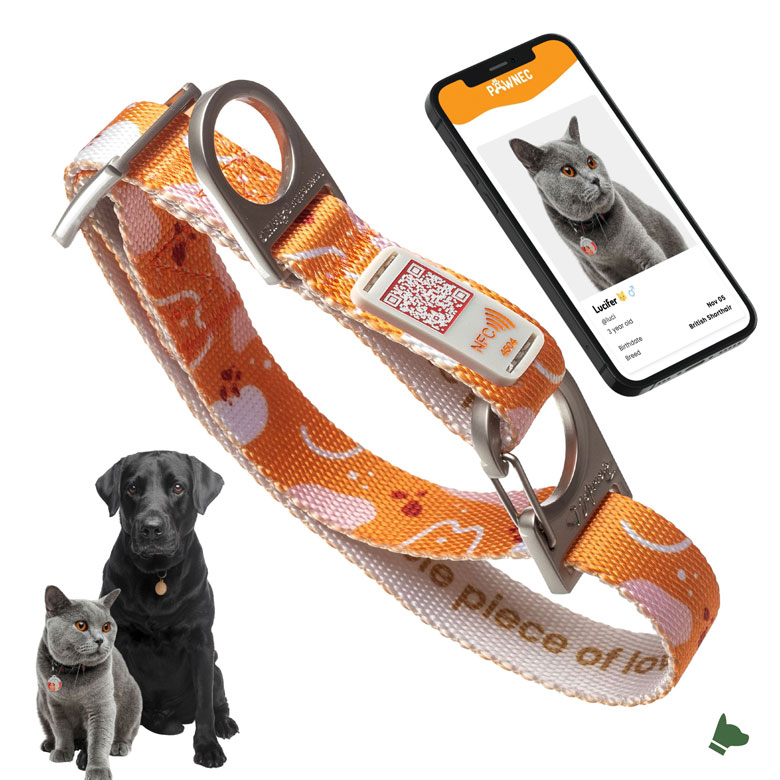 Dog Collar - Dog Collar with QR Code and NFC - Cat Collar with QR Code - Cat Tag