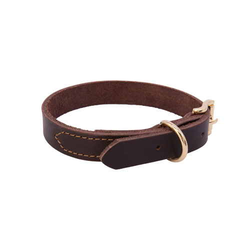 Classical brown dog collars manufacturer