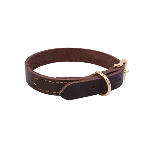 Dog Collars Manufacturers & Suppliers Dog Collars Catalog