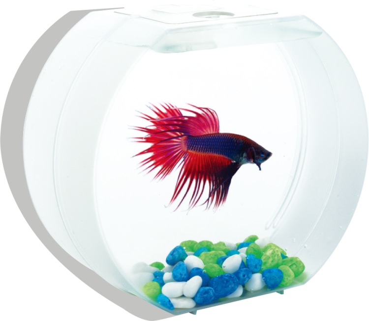 deco o mini fish tank