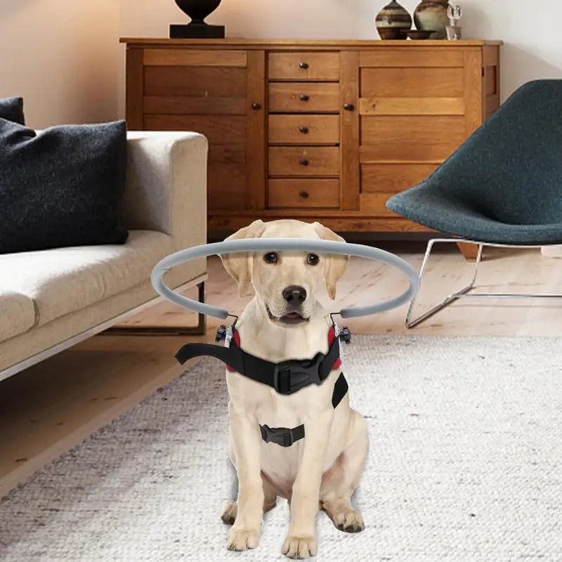 Blind Dog Harness Guiding Device