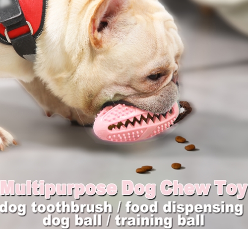 Dog chew toy