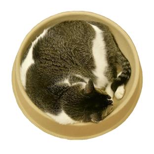 矹娥004-1.jpg 矹娥004-1.jpg