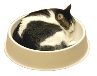 酶瓜6-1.jpg 酶瓜6-1.jpg