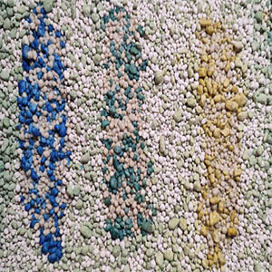 photo_2022-09-21_02-19-51.jpg photo_2022-09-21_02-19-51.jpg