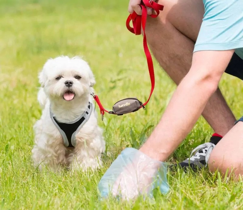 1704691789951.jpg 1704691789951.jpg